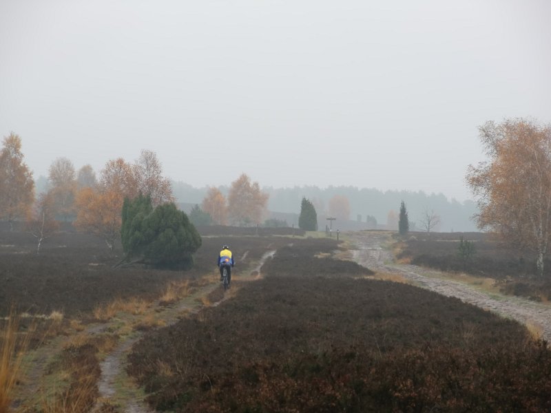 Wilseder Berg 1 2010 081